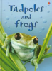 Tadpoles_and_frogs