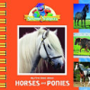 My_First_Book_About_Horses_and_Ponies