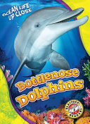 Bottlenose_dolphins