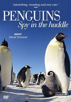 Penguins__spy_in_the_huddle
