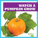 Watch_a_pumpkin_grow