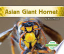 Asian_giant_hornet