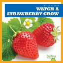 Watch_a_strawberry_grow