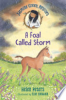 A_foal_called_Storm